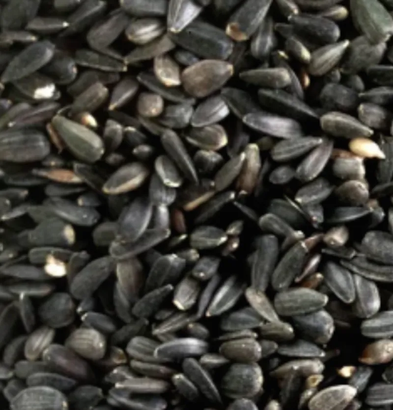 Colonels Black Sunflower 12.75KG